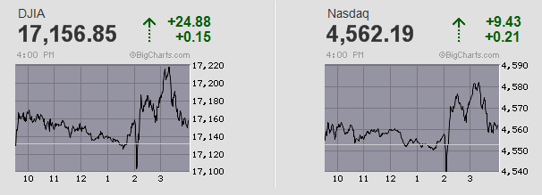 Der USA Bären-Thread 757216