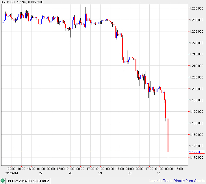 Der USA Bären-Thread 769587
