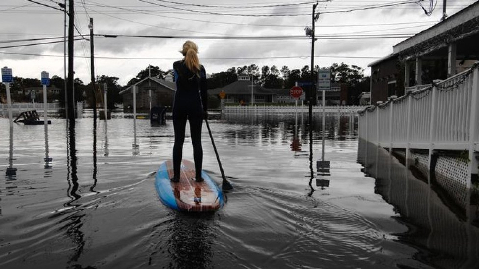 Der USA Bären-Thread 549300