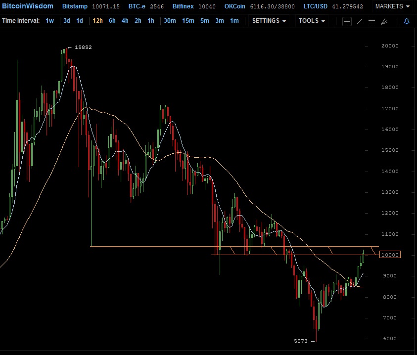 Der USA Bären-Thread 1041028