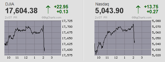 Der USA Bären-Thread 867881