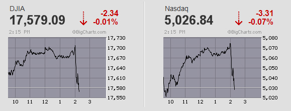 Der USA Bären-Thread 867884