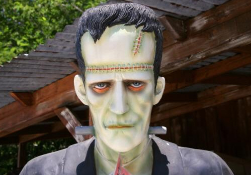 Der USA Bären-Thread 868411