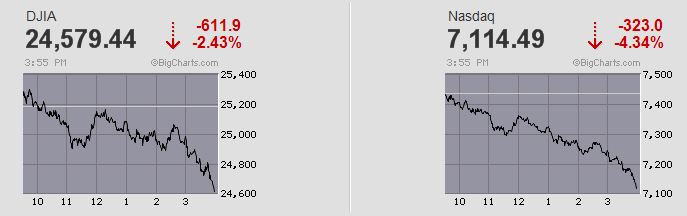Der USA Bären-Thread 1079764