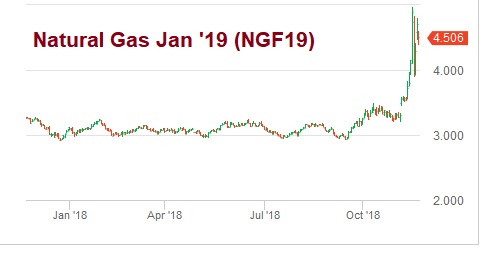 Der USA Bären-Thread 1083761