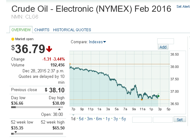 Der USA Bären-Thread 881195