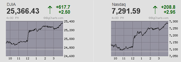 Der USA Bären-Thread 1085108