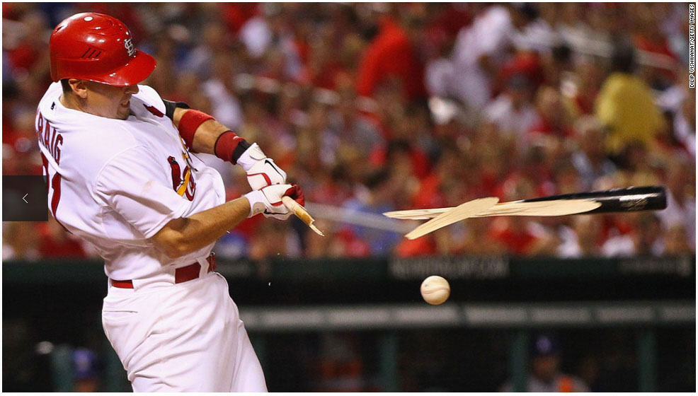 Der USA Bären-Thread 561885