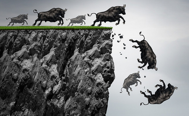 Der USA Bären-Thread 1090065