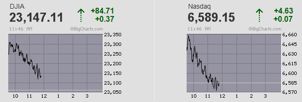 Der USA Bären-Thread 1089646