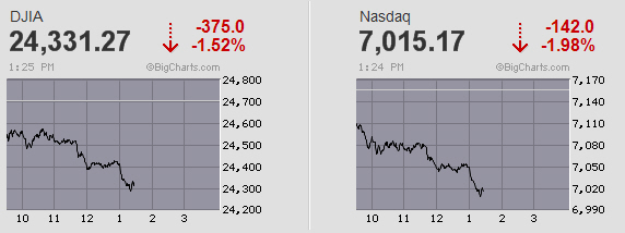 Der USA Bären-Thread 1092622