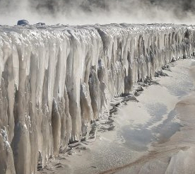 Der USA Bären-Thread 1094136