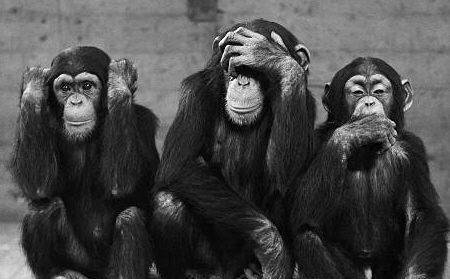 Der USA Bären-Thread 1099802