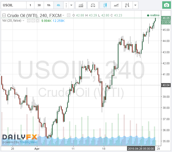 Der USA Bären-Thread 910755
