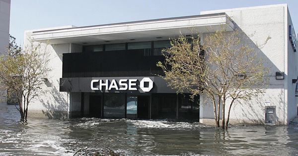 Der USA Bären-Thread 1106907