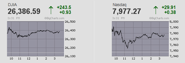 Der USA Bären-Thread 1106870