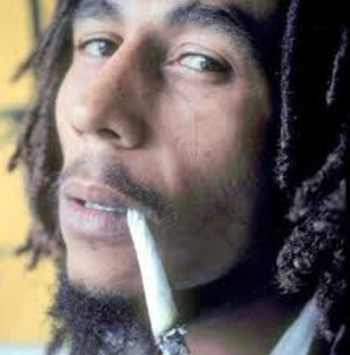 Der USA Bären-Thread 1109072