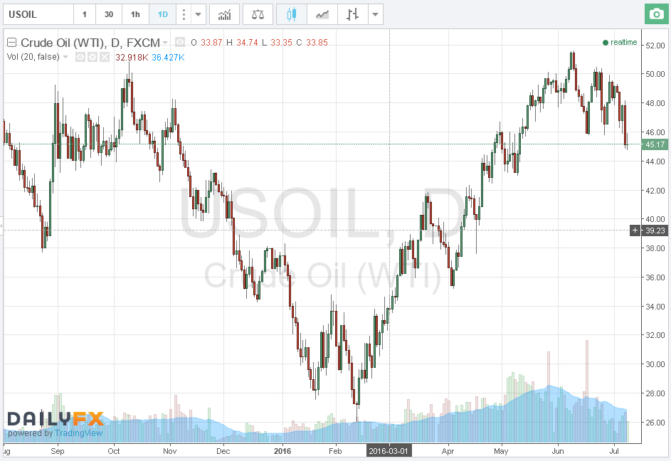 Der USA Bären-Thread 925730