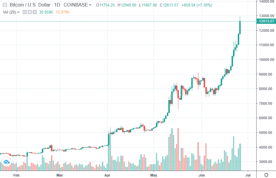 Der USA Bären-Thread 1119951