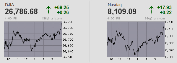Der USA Bären-Thread 1121162