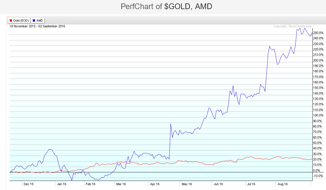 Der USA Bären-Thread 937475