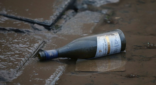 Der USA Bären-Thread 938392