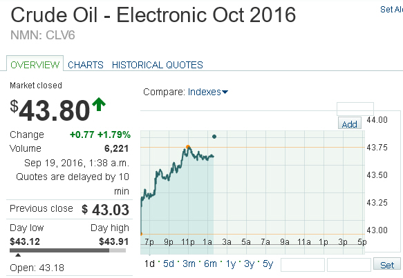 Der USA Bären-Thread 940140