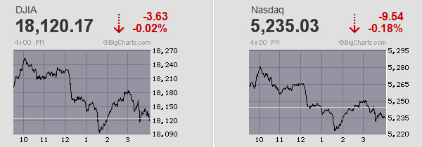 Der USA Bären-Thread 940338
