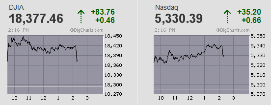 Der USA Bären-Thread 940957
