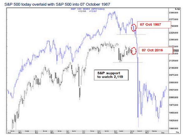Der USA Bären-Thread 944763