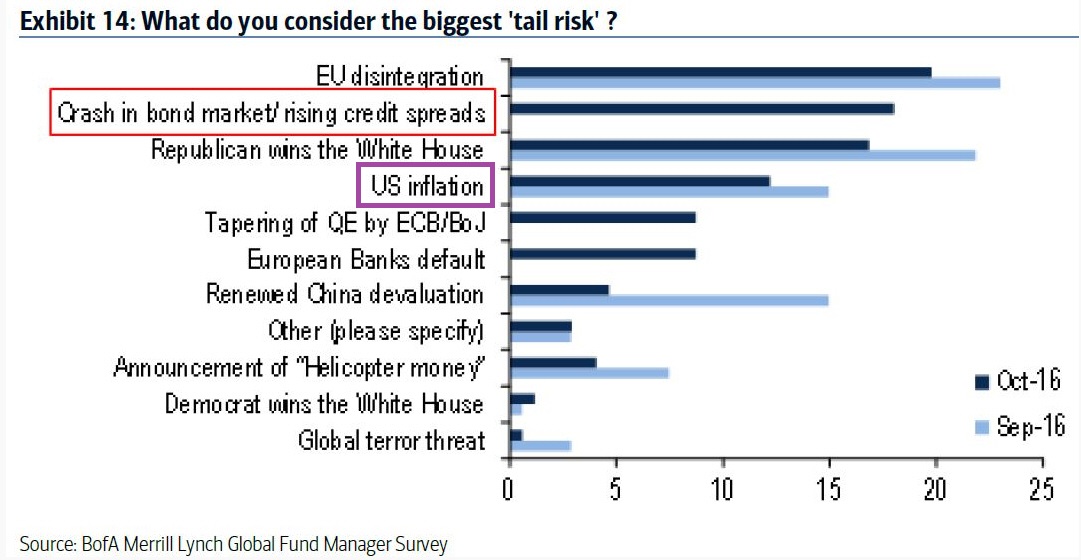 Der USA Bären-Thread 946444
