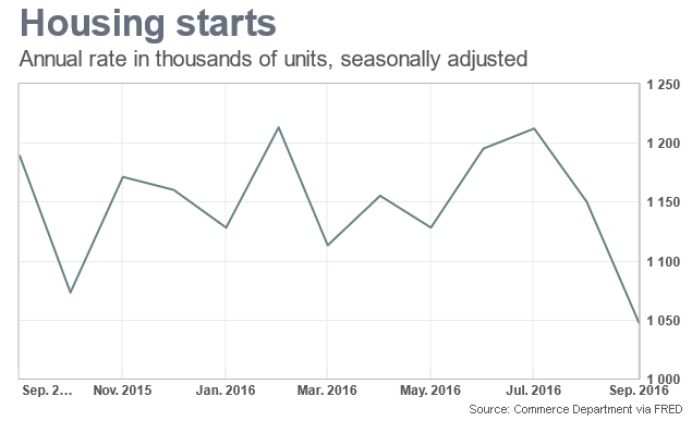 Der USA Bären-Thread 946545