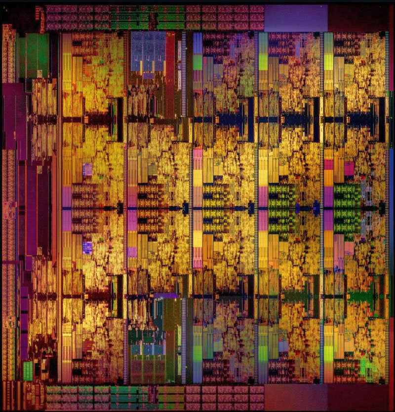 Der USA Bären-Thread 1151171