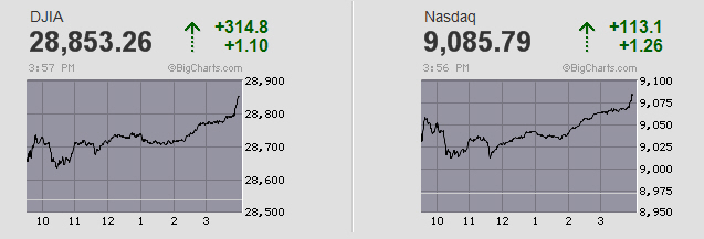 Der USA Bären-Thread 1151728