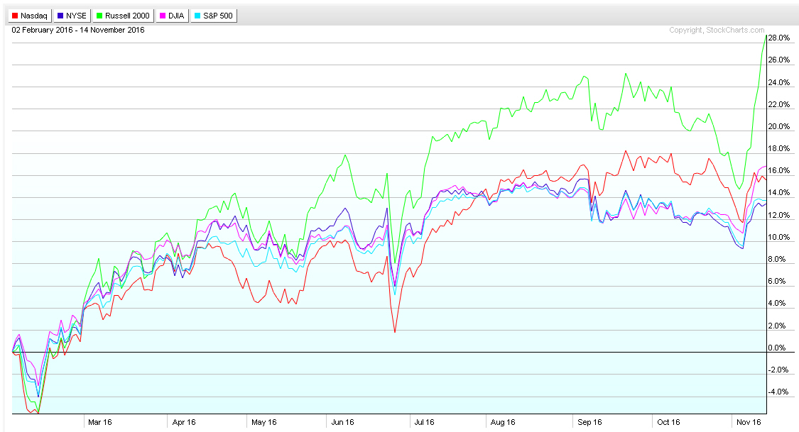 Der USA Bären-Thread 952450