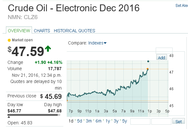Der USA Bären-Thread 953836