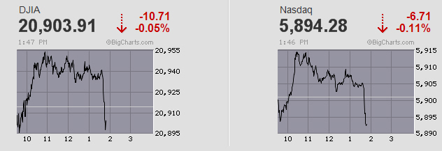 Der USA Bären-Thread 978935