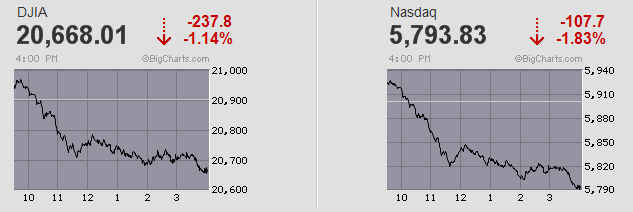 Der USA Bären-Thread 979250