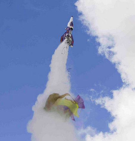 Der USA Bären-Thread 1161796