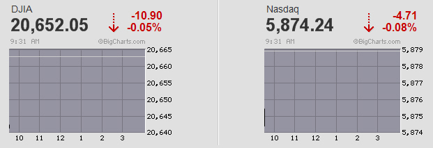 Der USA Bären-Thread 982511