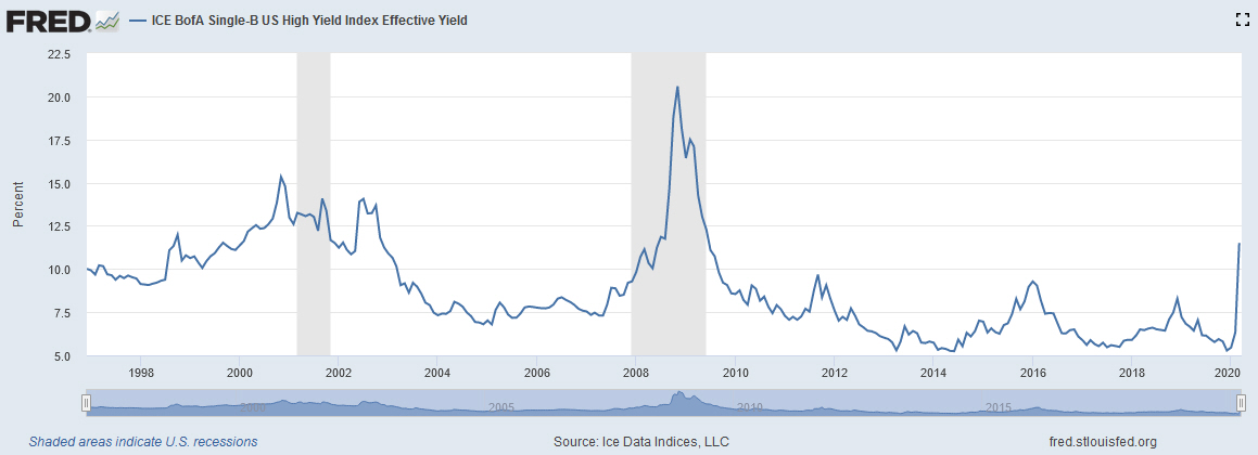 Der USA Bären-Thread 1168085