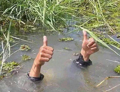 Der USA Bären-Thread 986101