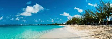 Der USA Bären-Thread 1164824