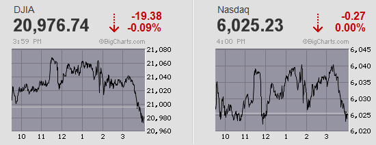 Der USA Bären-Thread 986201