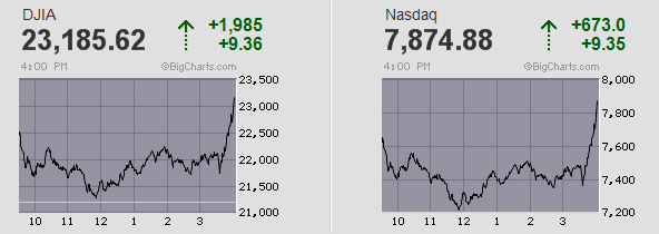 Der USA Bären-Thread 1166377