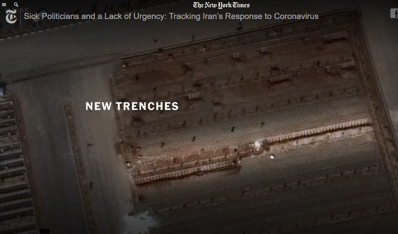 Der USA Bären-Thread 1166420