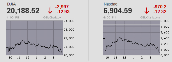 Der USA Bären-Thread 1166892