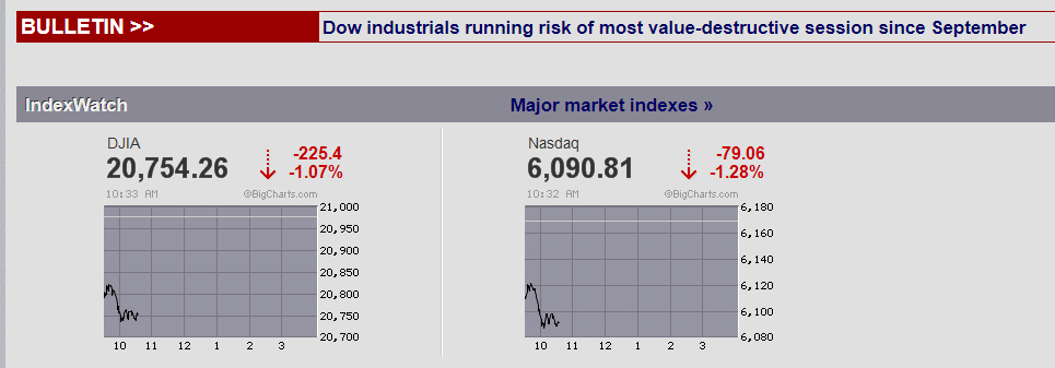 Der USA Bären-Thread 990332