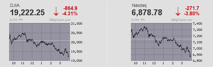 Der USA Bären-Thread 1167824