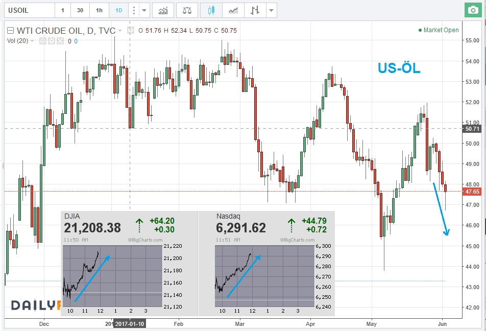 Der USA Bären-Thread 993501
